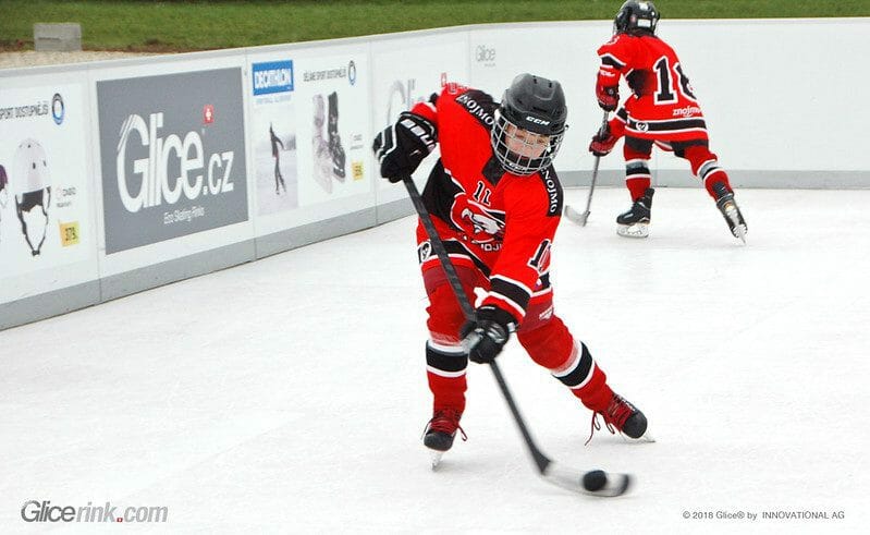 Where To Buy Synthetic Ice: Purchasing Guide